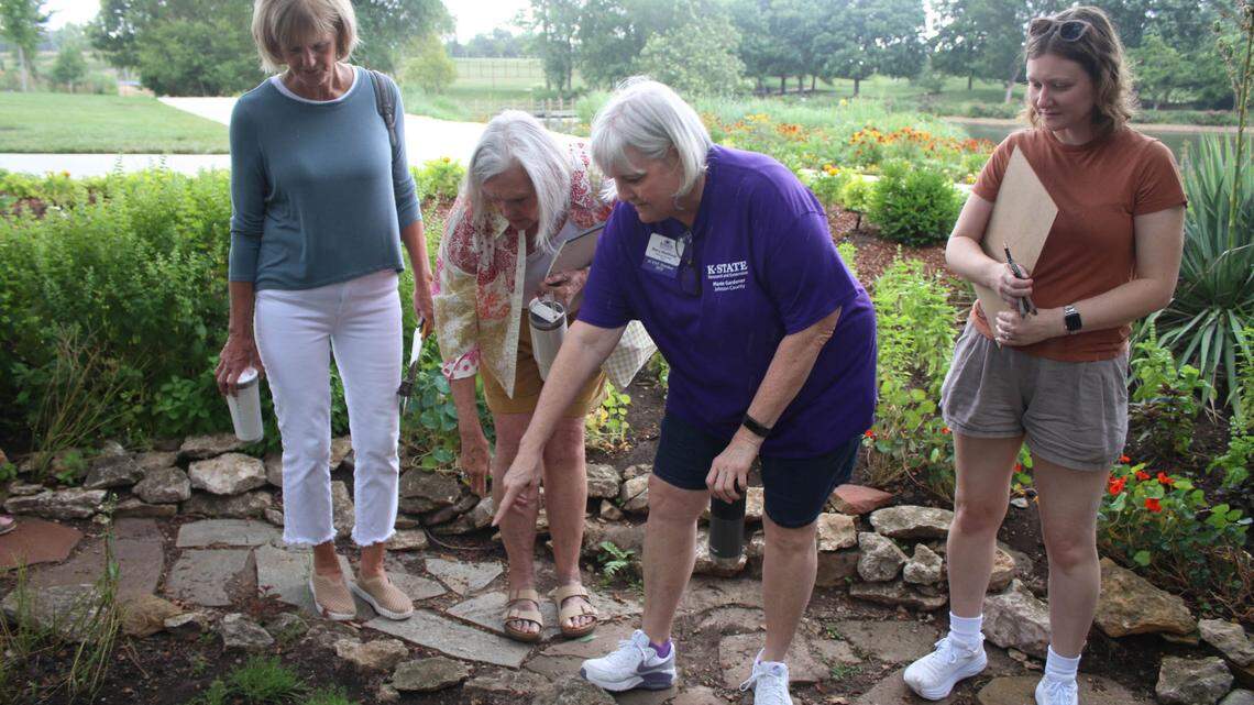 Herbs aren’t just for eating: New JoCo class celebrates beauty of edible plants
