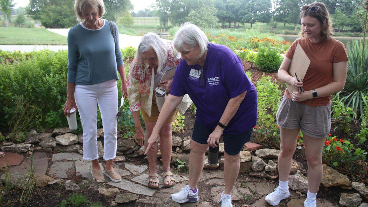 Mary Matthew, a master gardener with Johnson County Extension, shows Jackie Summers, Karen Mendenhall and Kat Priest what marjoram looks like in the herb garden at the Overland Park Arboretum.