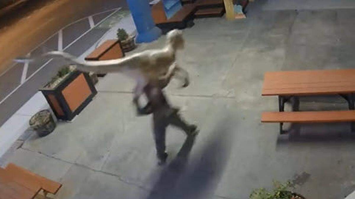 Tulsa police say they made an arrest in the theft of a life-size dinosaur statue, though the Deinonychus is still missing.