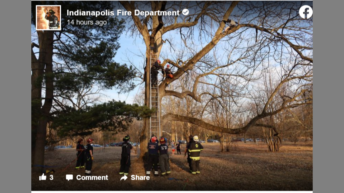 Multiple rescue crews showed up to the scene to help, according to the Indianapolis Fire Department.