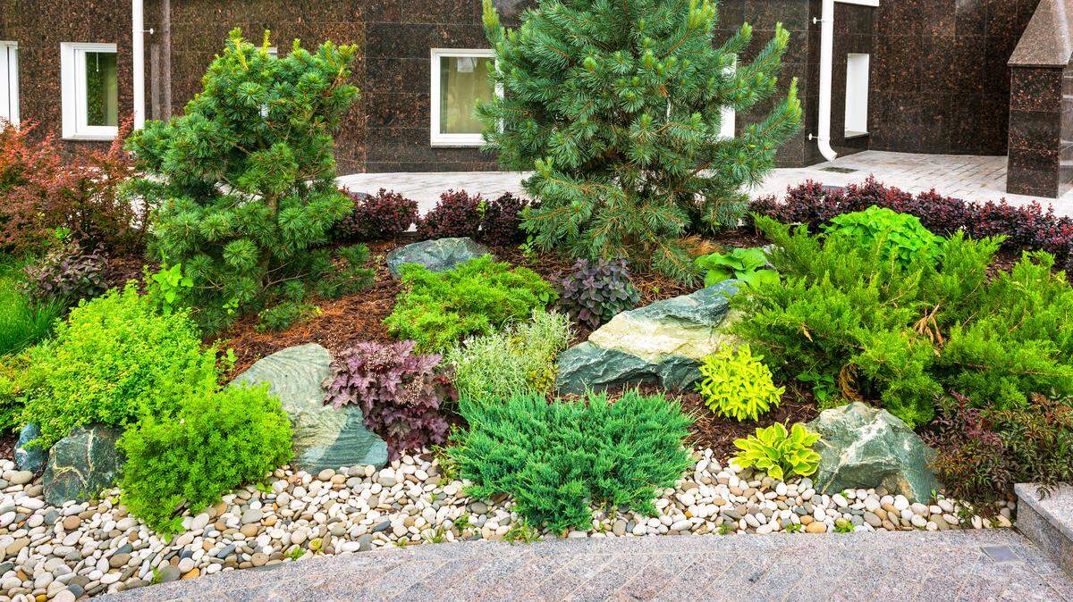 Fall is the perfect time to take notes of what you like and don’t like about your garden. This way, you’ll know what you need to do when spring hits.