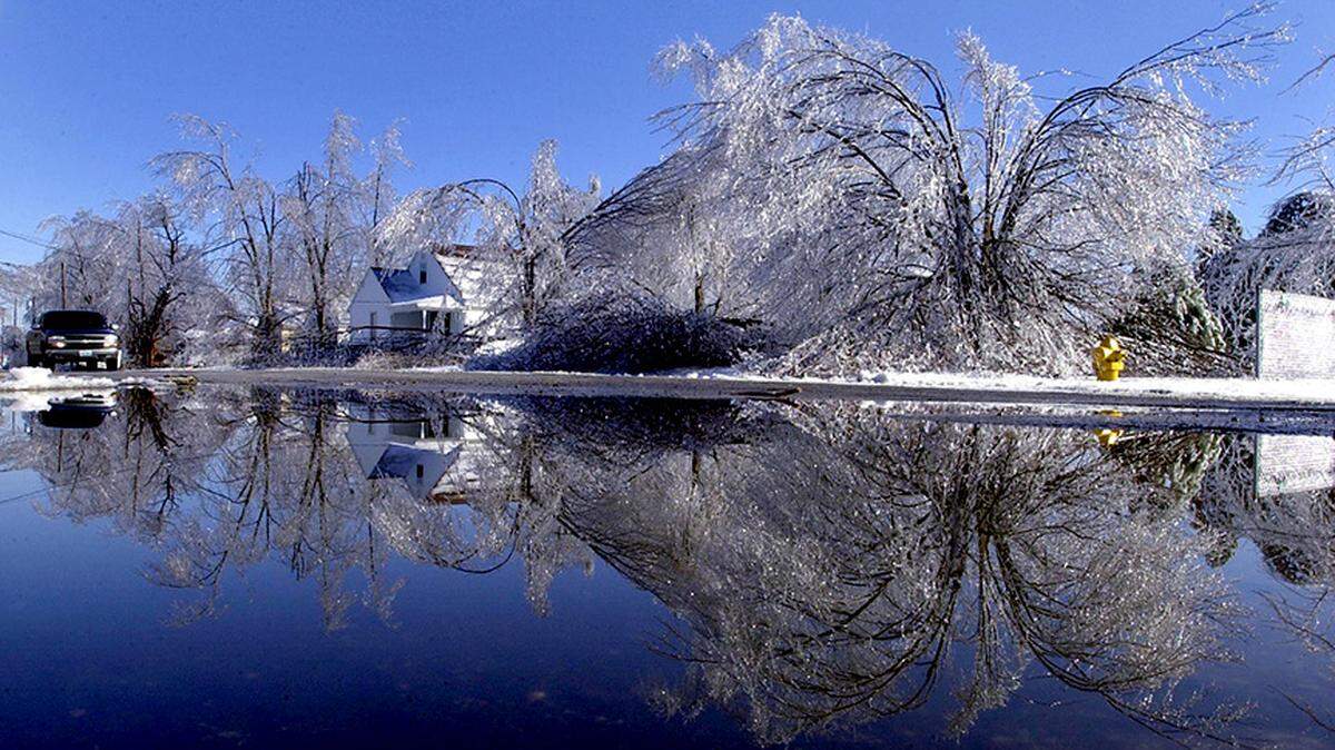Bent, broken and still frozen trees surround a home at the corner of Chestnut and South Streets in Olathe on Feb. 1, 2002, following several days of freezing rain that downed power lines and crippled the Kansas City metro for several days.