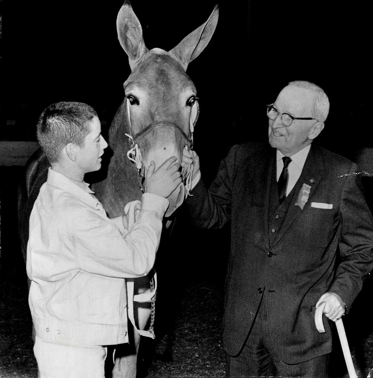 Missouri mules were a major attraction at past American Royal events. As shown in this undated photo, former President Harry S. Truman often attended to congratulate the winners.
