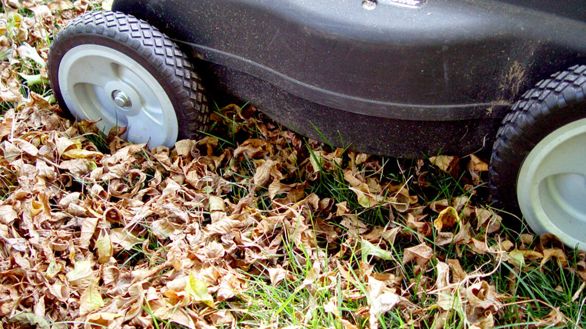 Planning to rake those leaves in your Kansas yard this fall? Why you should reconsider
