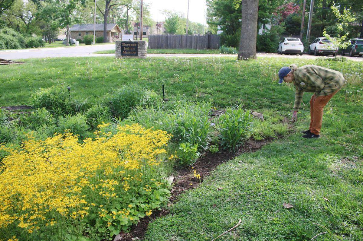 Master gardener Marie Hunter tends to the rain garden at the Shawnee Indian Mission in Fairway.