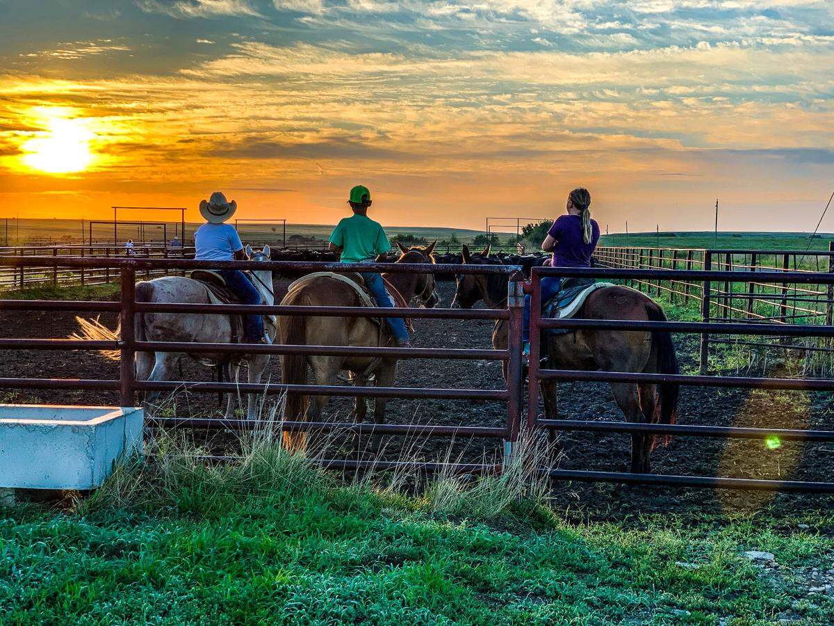 “The Ranching lifestyle in the beautiful Flint Hills of Kansas” - Katie Greenwood