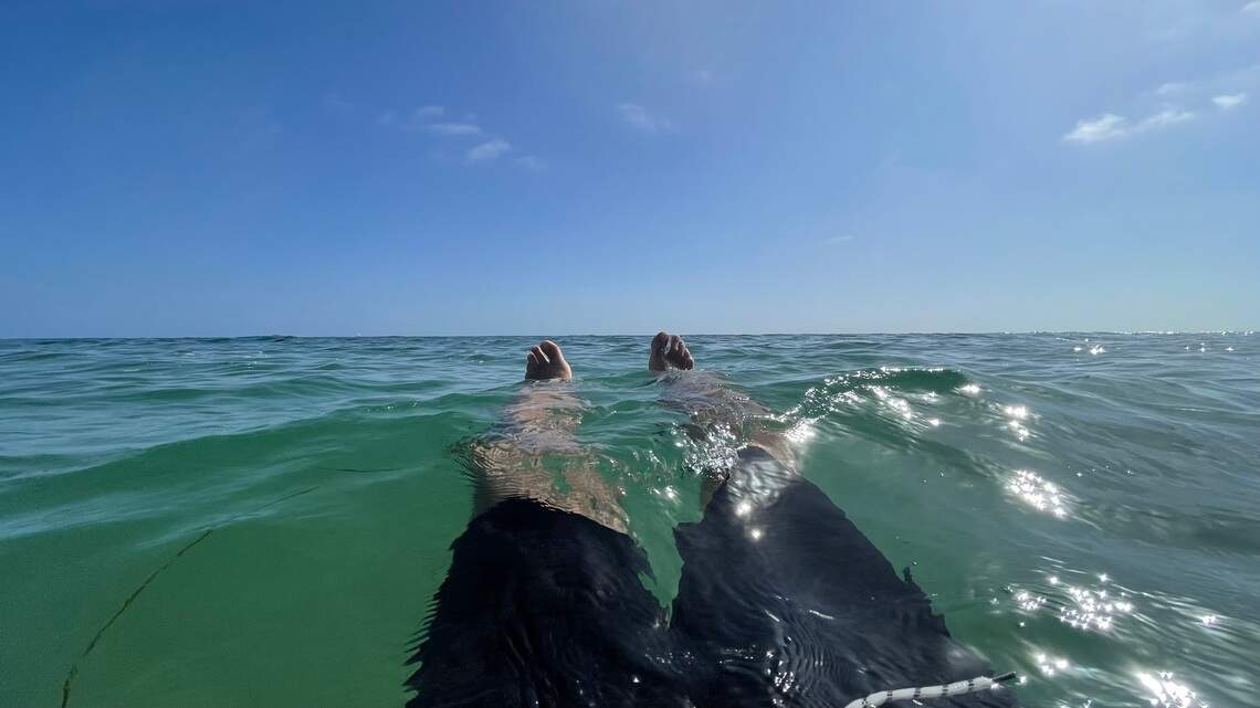 Forest bathing, anyone? Kelp, not trees, brought him to a spiritual place in nature