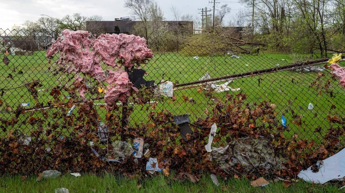 Tornadoes Lead Hundreds of Cows to Escape, Community Rallies