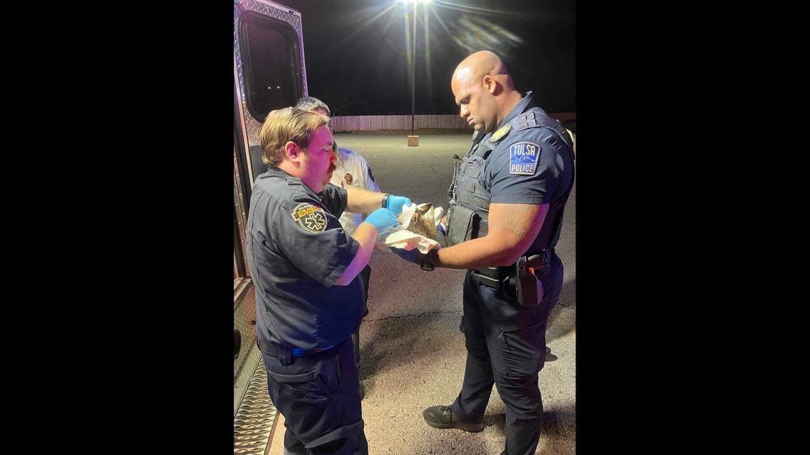 A chihuahua jumped onto a driver’s lap causing him to crash into a pole, Oklahoma police said. Both are expected to recover.