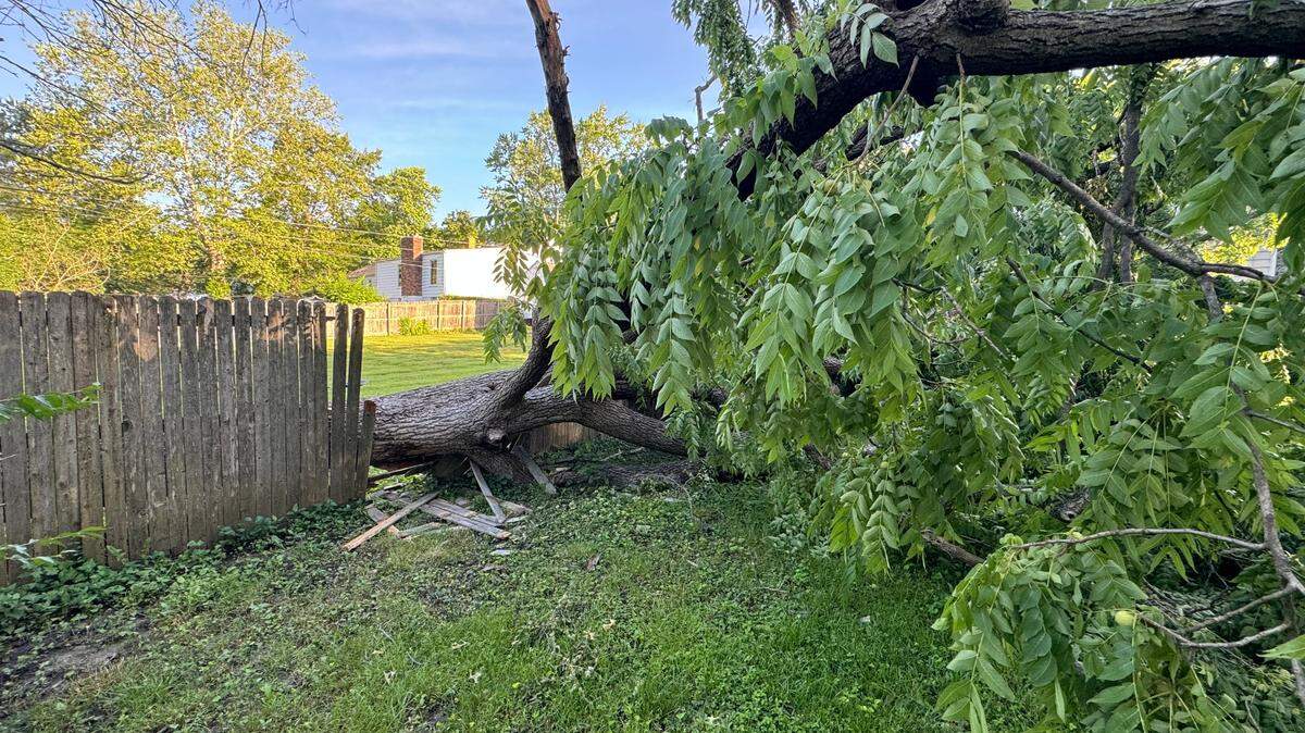 Strong winds from the storm over the weekend caused damage to trees and power lines across the Kansas City metro. This tree in Raytown knocked over a fence.