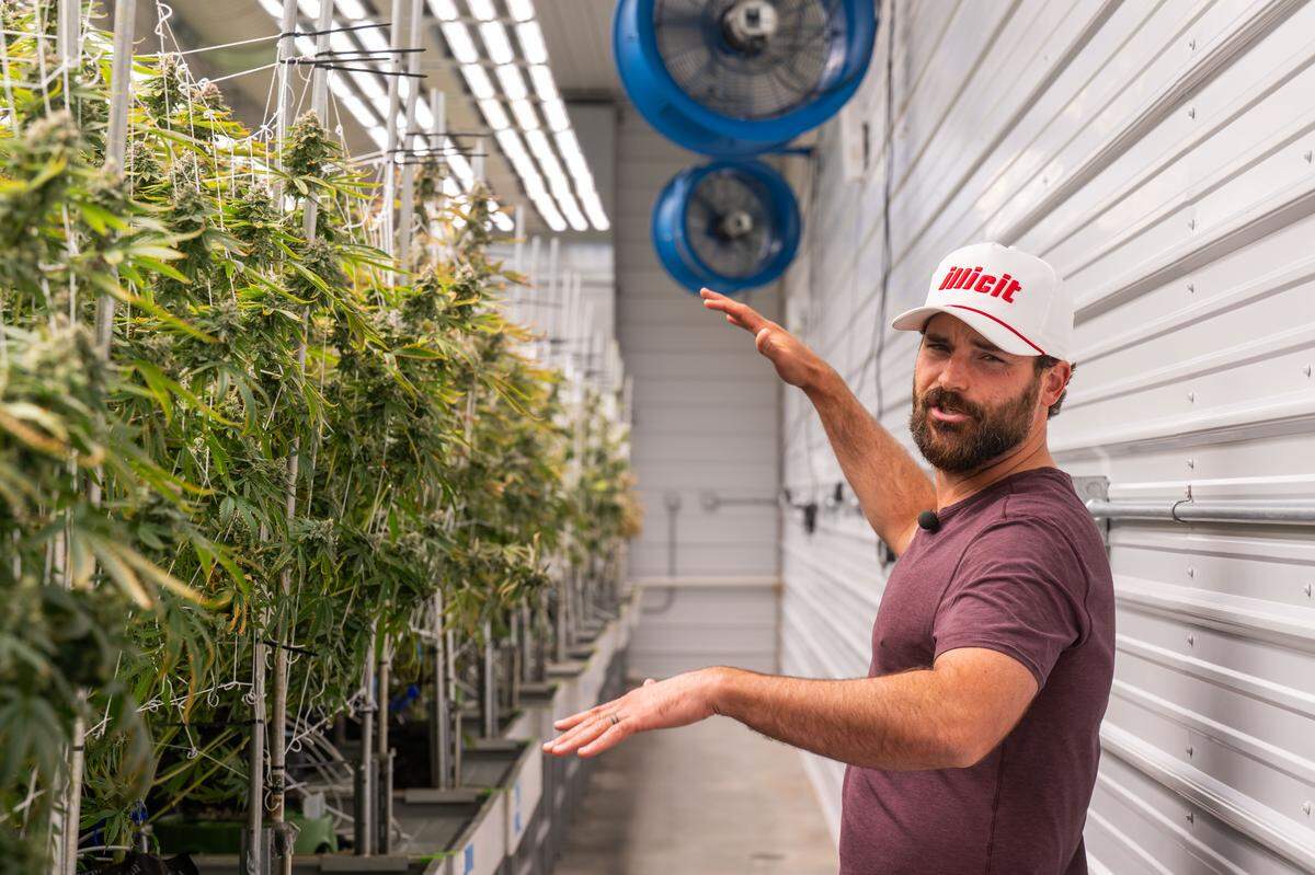 Illicit Farms’ COO Adam Diltz talks about the different strains of marijuana being grown at the farm and production facility of Illicit Farms on Wednesday, April 30, 2025. This year was the third year that recreational marijuana sales have been legal in Missouri.