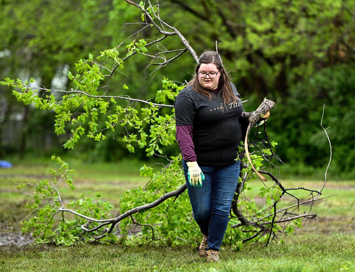 McKayla Lynch with NSPJ Architects drags a branch to the wood chipper as she and other volunteers work to clear the fence line. A small army of volunteers helped give Freeway Park Community Garden in Kansas City’s historic Northeast a makeover for its 20th anniversary. The garden, near E. 14th Street and Indiana Avenue, is managed by Kansas City Community Gardens, which rents plots to neighborhood gardeners.