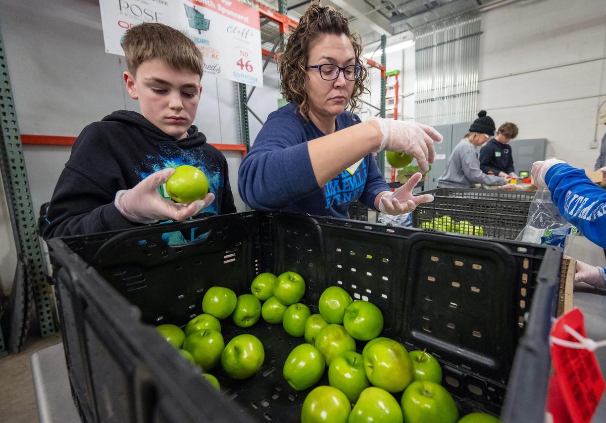 Volunteers from Church of the Resurrection including Kai Owells, 12, and his mother, Michelle Owells of Olathe, sorted apples at Knabe’s Market on during a Day of Service to honor the legacy of Dr. Martin Luther King Jr., on Monday, Jan. 20, 2025, in Kansas City. The volunteers sorted over a ton of produce donated from a local wholesaler into four categories: Kanbe’s Healthy Corner Stores (providing fresh, affordable produce to underserved areas), Community Partners (supplying food pantries), Animal Feed, and Compost. Knabe’s Market kept over 1 million pounds out of the landfills with their redirection efforts in 2024.
