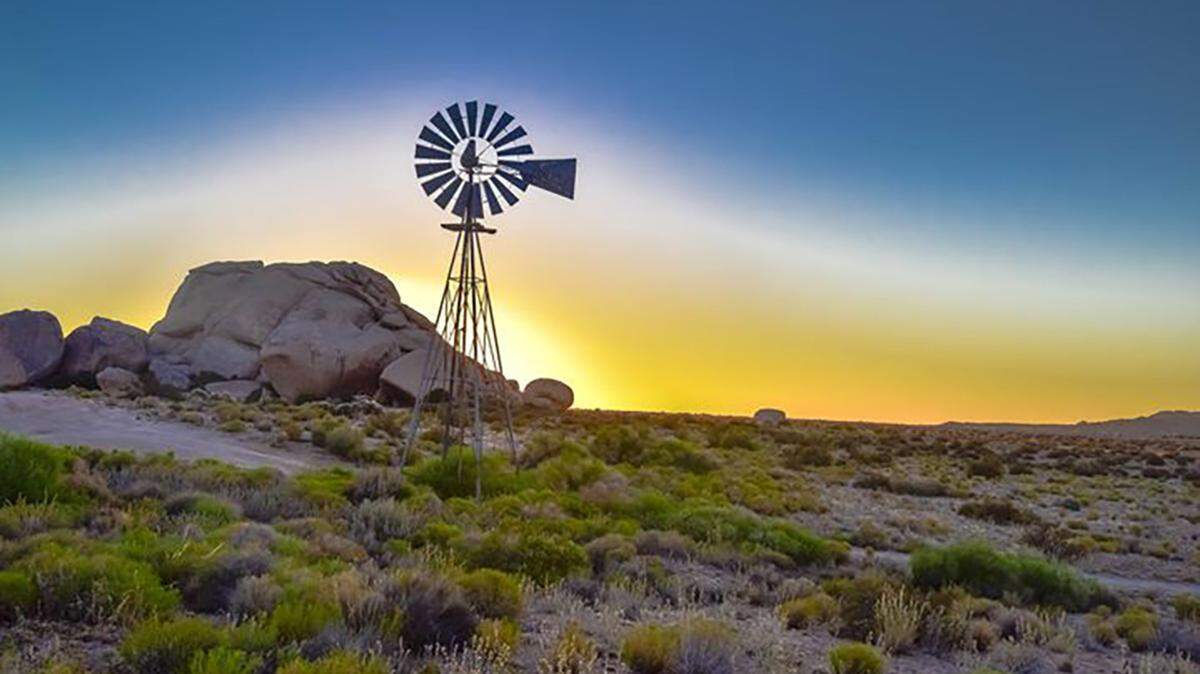For more than 100 years, farmers and ranchers have used the Aermotor Windmill to pump water.