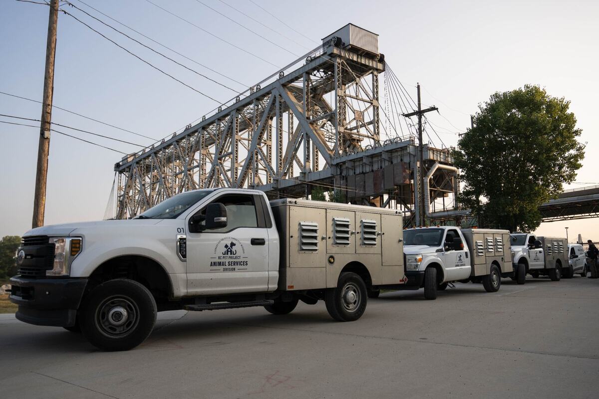 Members of KC Pet Project’s Animal Services Division, were brought in Wednesday, Sept. 11, 2024, to help wrangle loose goats that have been living along side the Riverfront Trail in Kansas City, Missouri.