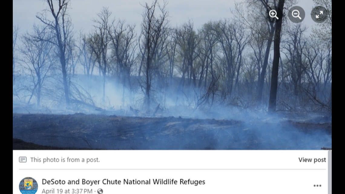 A bald eagle pair and their eaglet survived a wildfire that burned for three days at a refuge in Iowa, officials say.