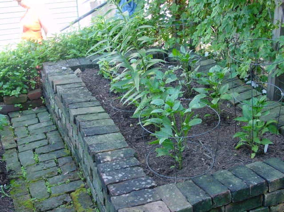 Cages may help support plants that are heavy with larger variety peppers, like bell.