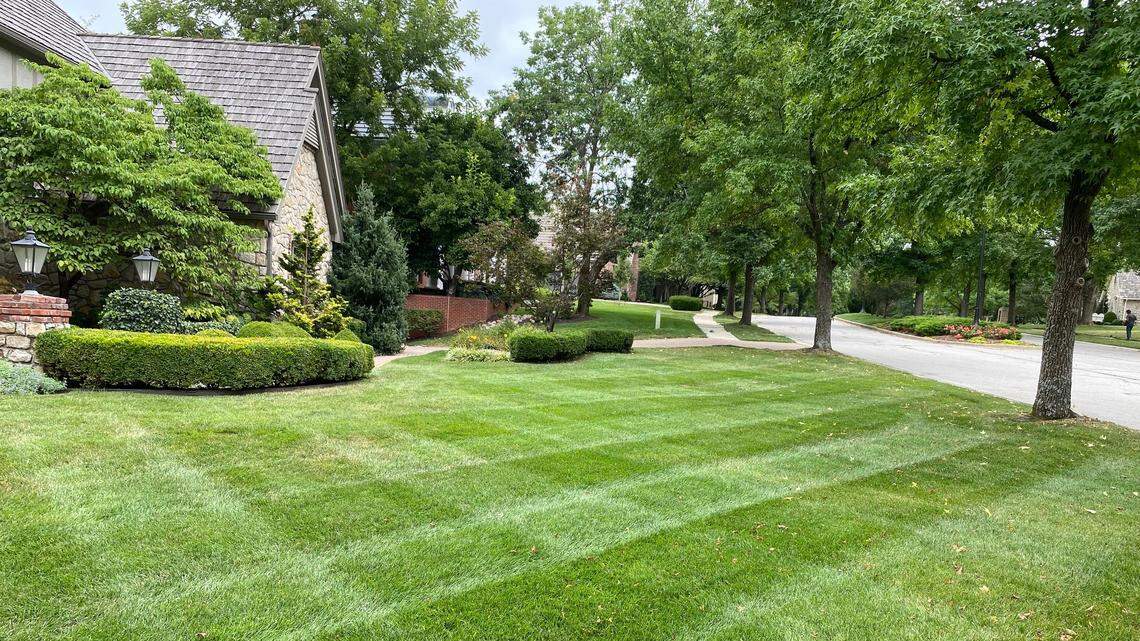 All grass seed is not the same. Read fine print and watch out for these troublemakers