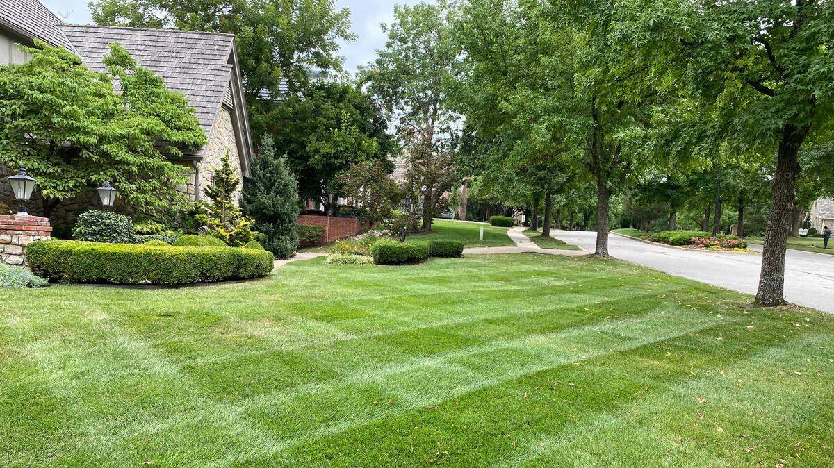 Take precautions when overseeding this autumn. That bag of seed you’re purchasing may be filled with “other” grasses that can overtake those that grow well here in the Kansas City area.