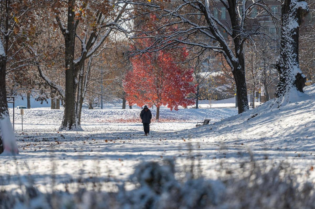 A blanket of snow covers Hyde Park after Kansas City experienced its first snowfall of the season on Sunday, Nov. 26, 2023.