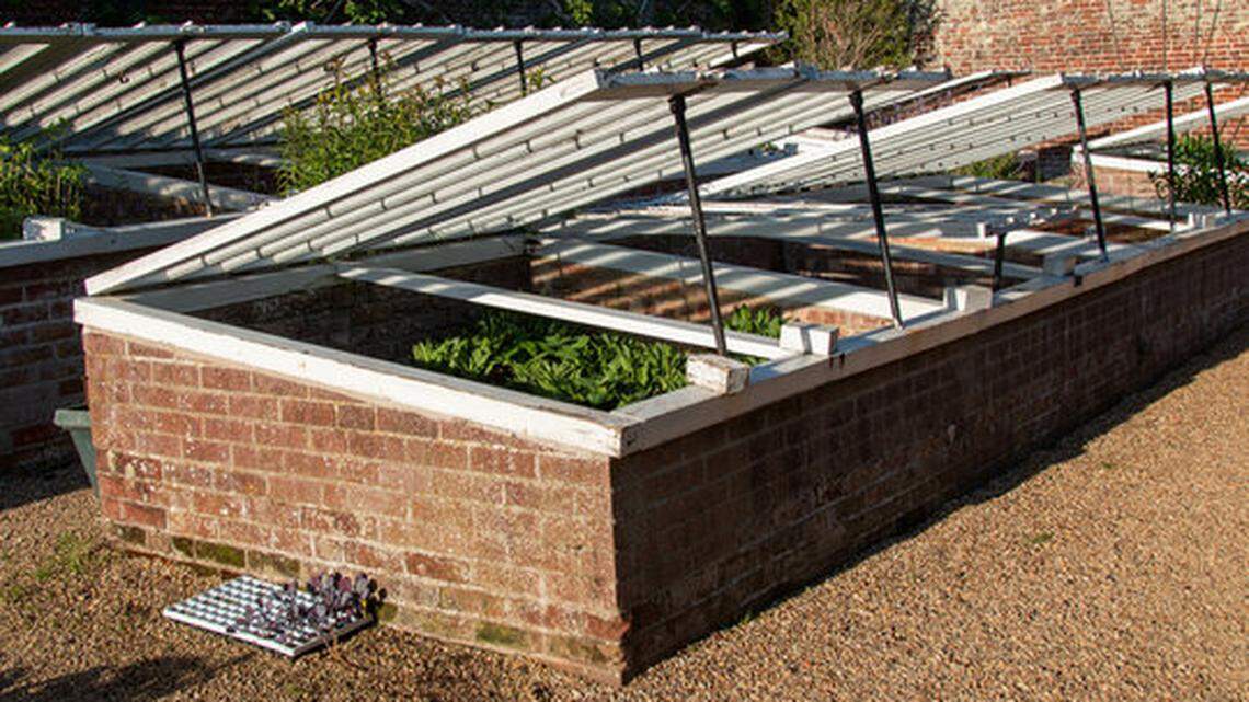 Plants in the same garden can feel different conditions: How to take advantage