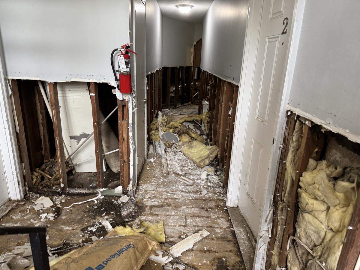 Walls in the apartment’s hallway are cut up and debris spills onto the floor.