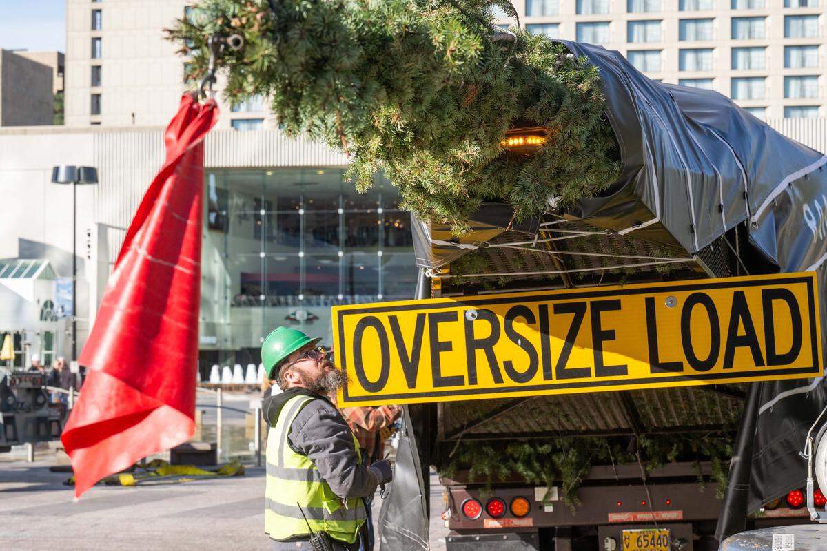 Members of Kessinger Hunter help facilitate the delivery of the Mayor's Christmas Tree to Crown Center, on Thursday, Nov. 6, 2025, in Kansas City. Transported on a custom-made trailer, the 100-foot-tall tree is donated and transported from Cascade Timber Consulting of Sweet Home, Oregon.
