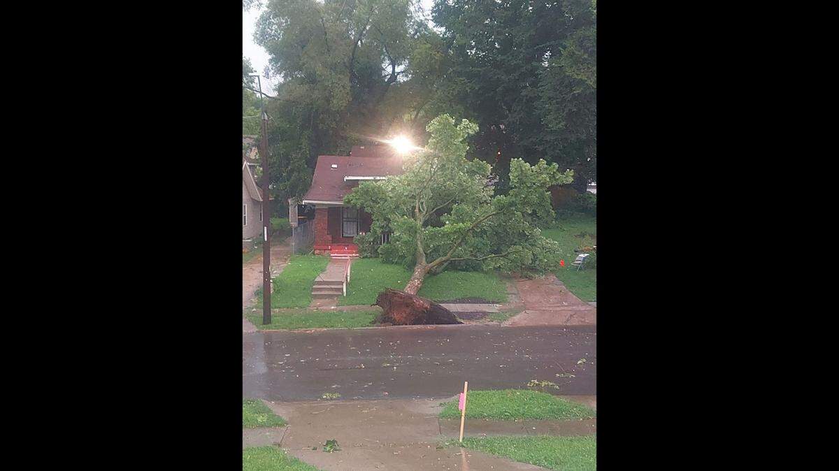 Strong winds from severe thunderstorms blew over a tree overnight Tuesday near East 55th Street and Michigan Avenue in Kansas City’s Blue Hills neighborhood. Winds gusts of 60 and 70 mph were reported across the Kansas City area. Gusts of 89 mph were reported at Lee’s Summit Municipal Airport.