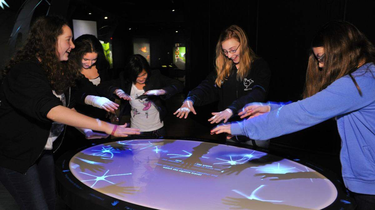 Brain: The Inside Story opens Saturday at the Museum at Prairiefire.
