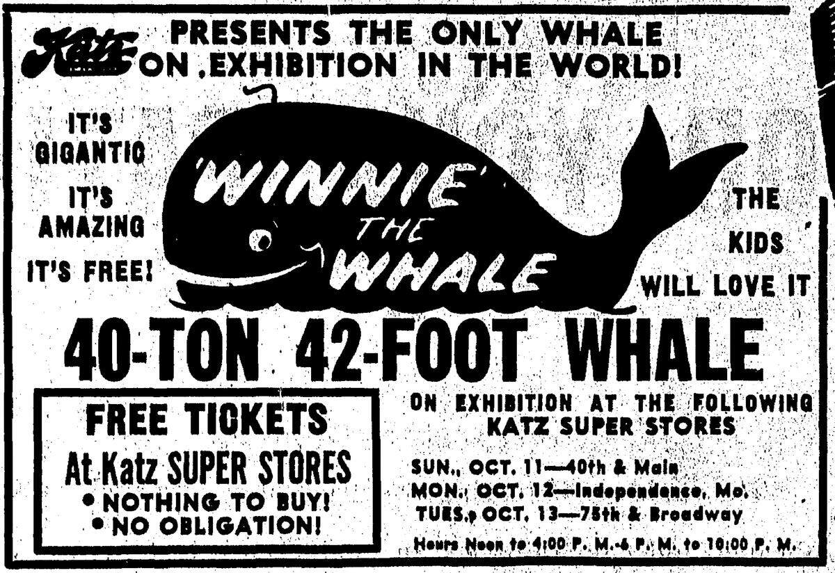 An advertisement for Winnie the whale from the Oct. 11, 1953, edition of The Kansas City Times.