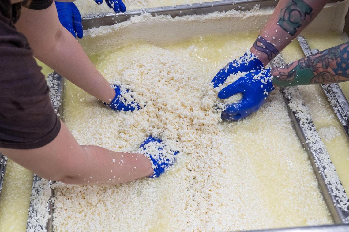 Cheesemakers of Green Dirt Farm, which just won another award for its popular Dirt Lover cheese, move handfuls of curds at Greek Dirt on Oak in Kansas City. The Weston, Missouri-based farm has its own cheesemaking facility in downtown KC, where a team of cheesemakers process sheep’s milk into various types of cheese.