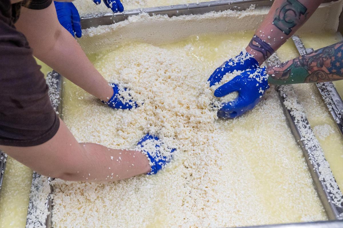 Cheesemakers move handfuls of curds to another section of a large vat that separates the curds and whey at Green Dirt on Oak in Kansas City on Wednesday, April 2, 2025. Green Dirt on Oak houses its own cheesemaking facility in downtown Kansas City, where a team of cheesemakers process sheep’s milk into various types of cheese.