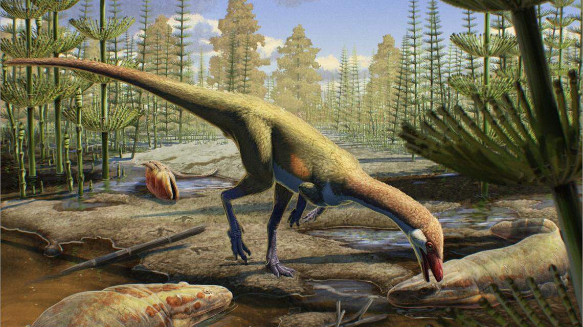 A rendering of how the chicken-sized dinosaur may have looked about 230 million years ago.