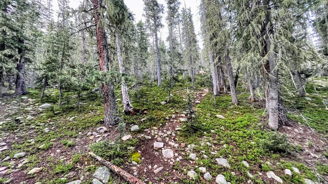 What’s at the end of path? Far-off object in Scout leader’s photo reveals a surprise