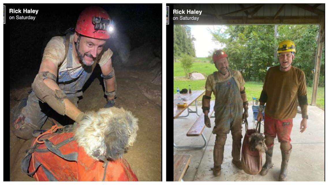 A dog was rescued from a cave in southeastern Missouri by spelunkers.