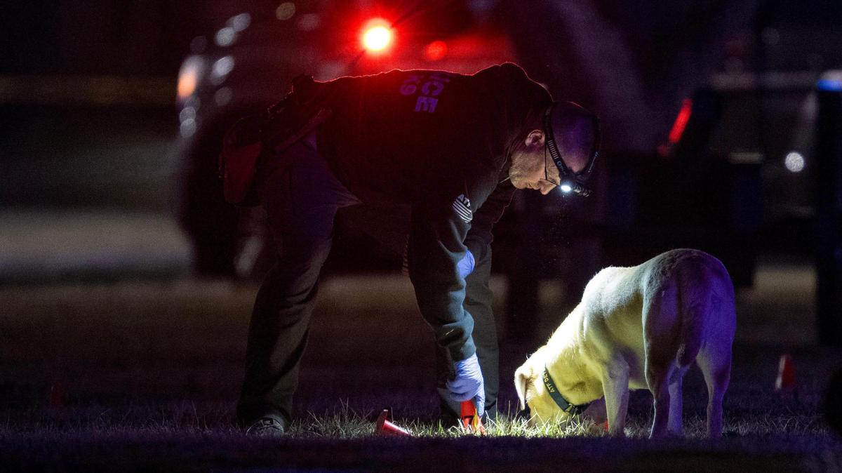 Shiloh, an ATF explosives detection canine, searches for ballistic evidence with her handler, special agent Tyree Koerner, at the scene of a shooting outside of North Kansas City High School on Saturday, March 2, 2024, in North Kansas City.
