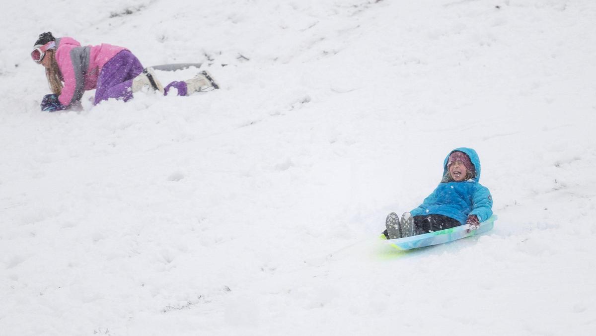 Sonja Sifton sleds down the Brookside Hill on Tuesday, Jan. 9, 2024, in Kansas City.