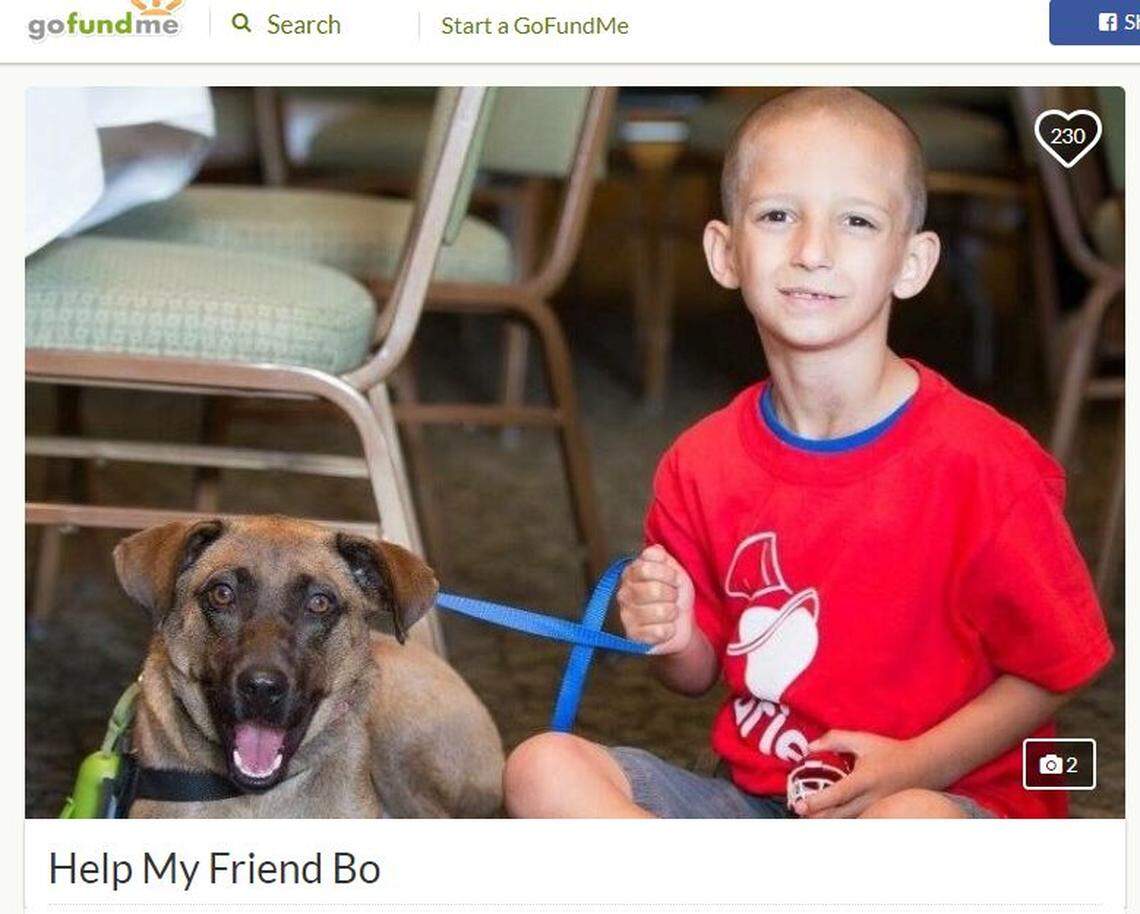 Since he rocked out with the Foo Fighters at a Kansas City concert, 10-year-old Collier Cash Rule, of Shawnee, has encouraged his new followers to donate to a GoFundMe page supporting his friend, Bo, who has a rare disease.