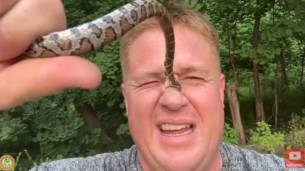 A snake bit a man 50 times along a Pennsylvania trail, video shows.