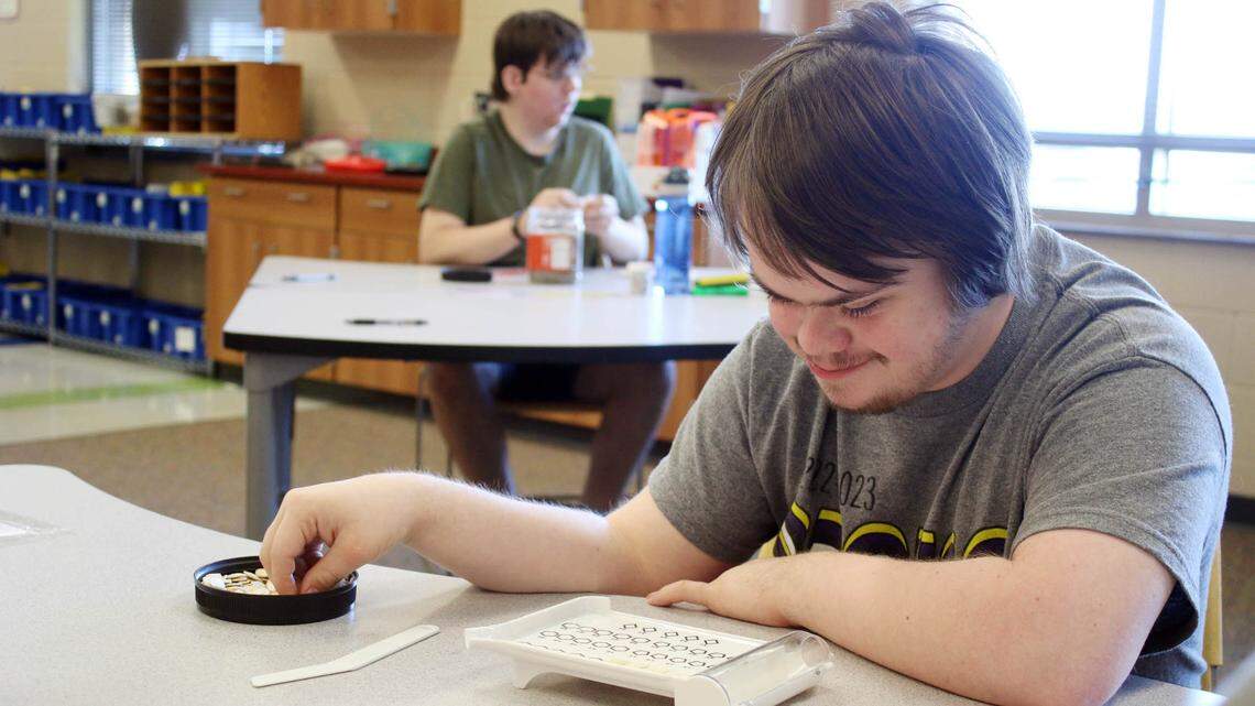Dakota Sagmiller, 19, counts out pumpkin seeds at Spring Hill High School. The seeds are part of a new venture involving the school and the Gifted Learning Project.