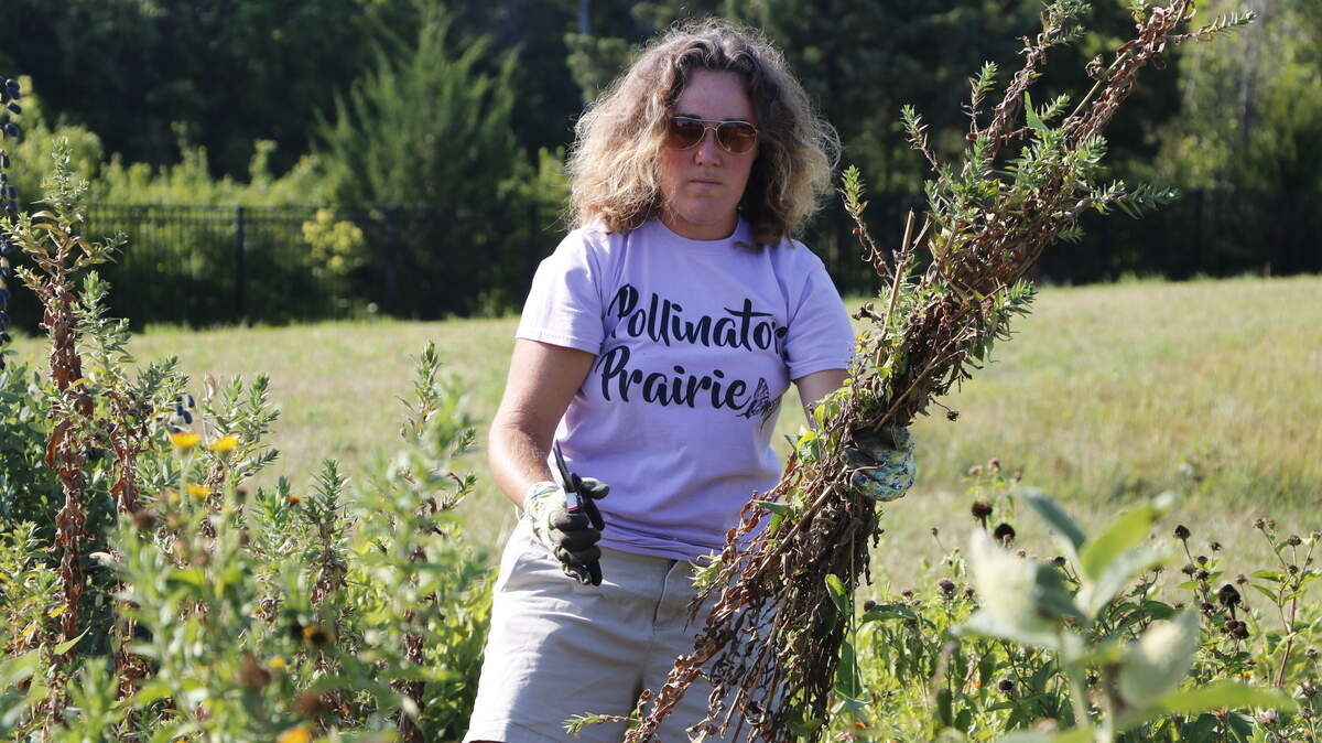 For the past six years, Jennifer Kingston, geological engineer, has overseen development of the Pollinator Prairie. In addition to managing and maintaining the 5-acre site with a team of volunteers, Kingston has also helped direct the creation of the education program for the native plant habitat.