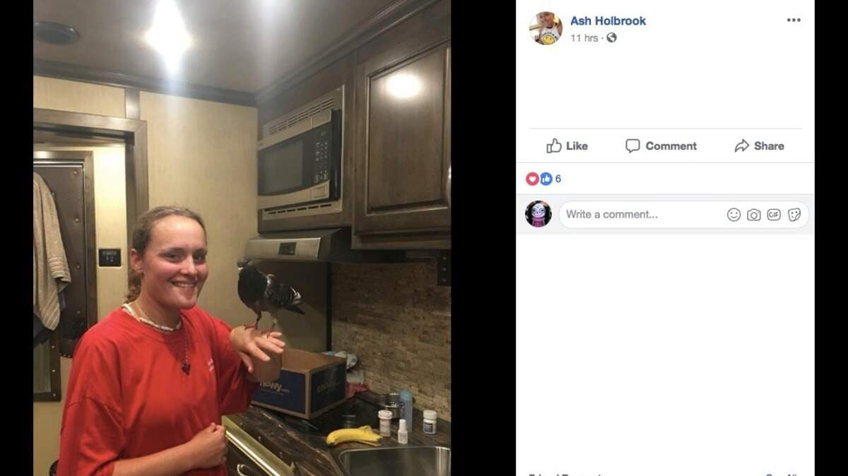 Ash Holbrook, an autistic woman from Sherman, Texas, lost her emotional support pigeon while she and her family were in Oklahoma over the weekend. Geraldine the pigeon flew away in her pink diaper and was still wearing it when she was found.