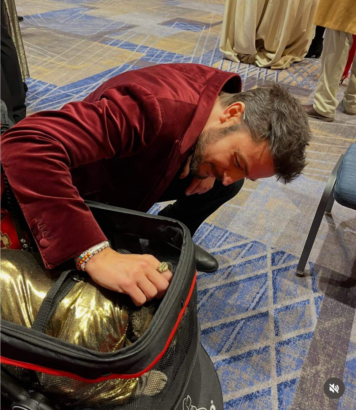 Actor Tyler Hynes, star of “Holiday Touchdown: A Chiefs Love Story,” says hello to Sly James the Cat at the movie premiere in Kansas City last month.
