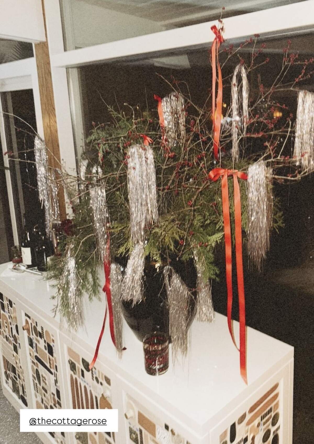 House plants dripped with holiday glamour.