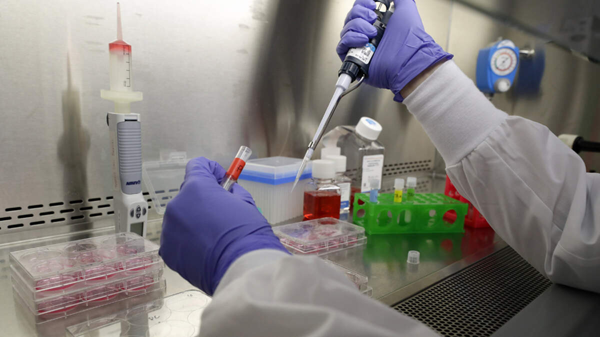 New technologies based on human biology can help develop products efficiently and without cruelty.