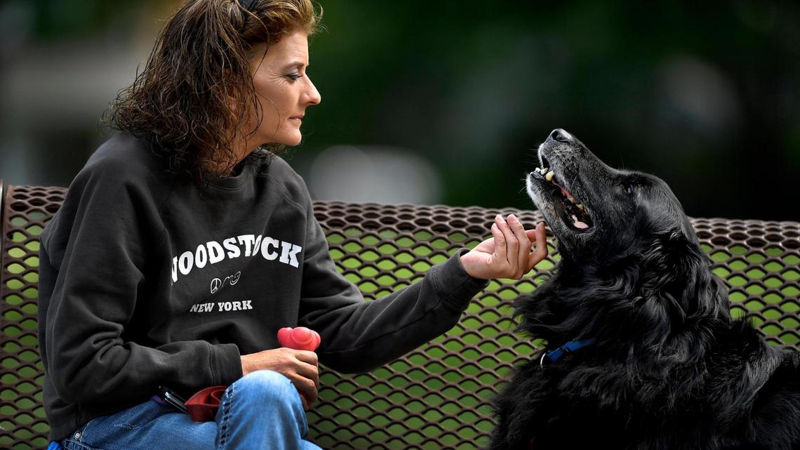 Pet owners in crisis can lose their companions forever. This KC program reunites them