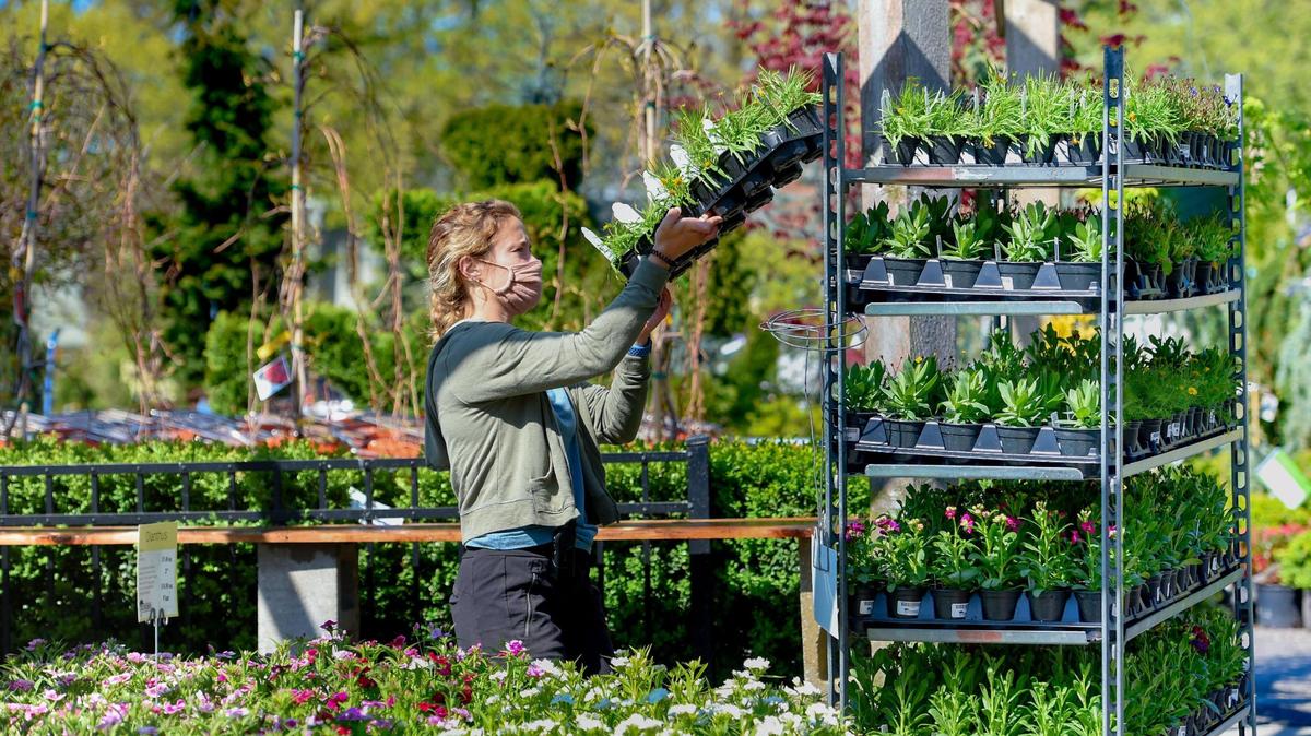 Even though some garden centers advertise house plants as a way to “eliminate air pollutants,” some scientists say there isn’t evidence that it does.