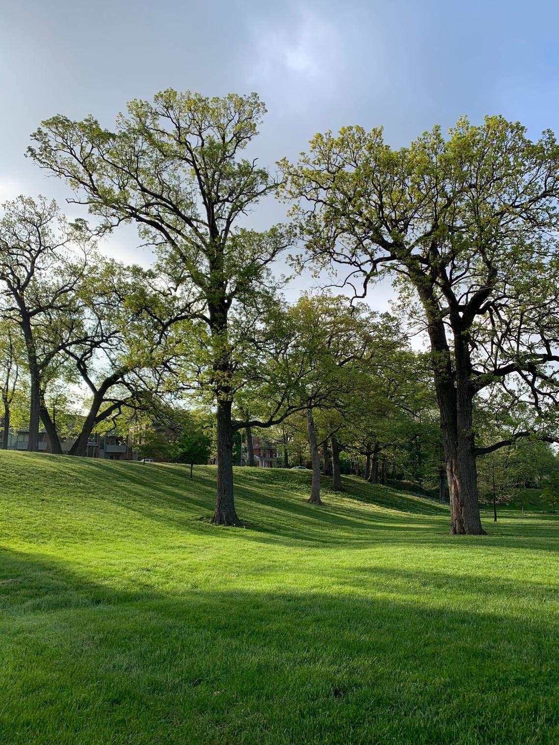 A sunny day in Hyde Park