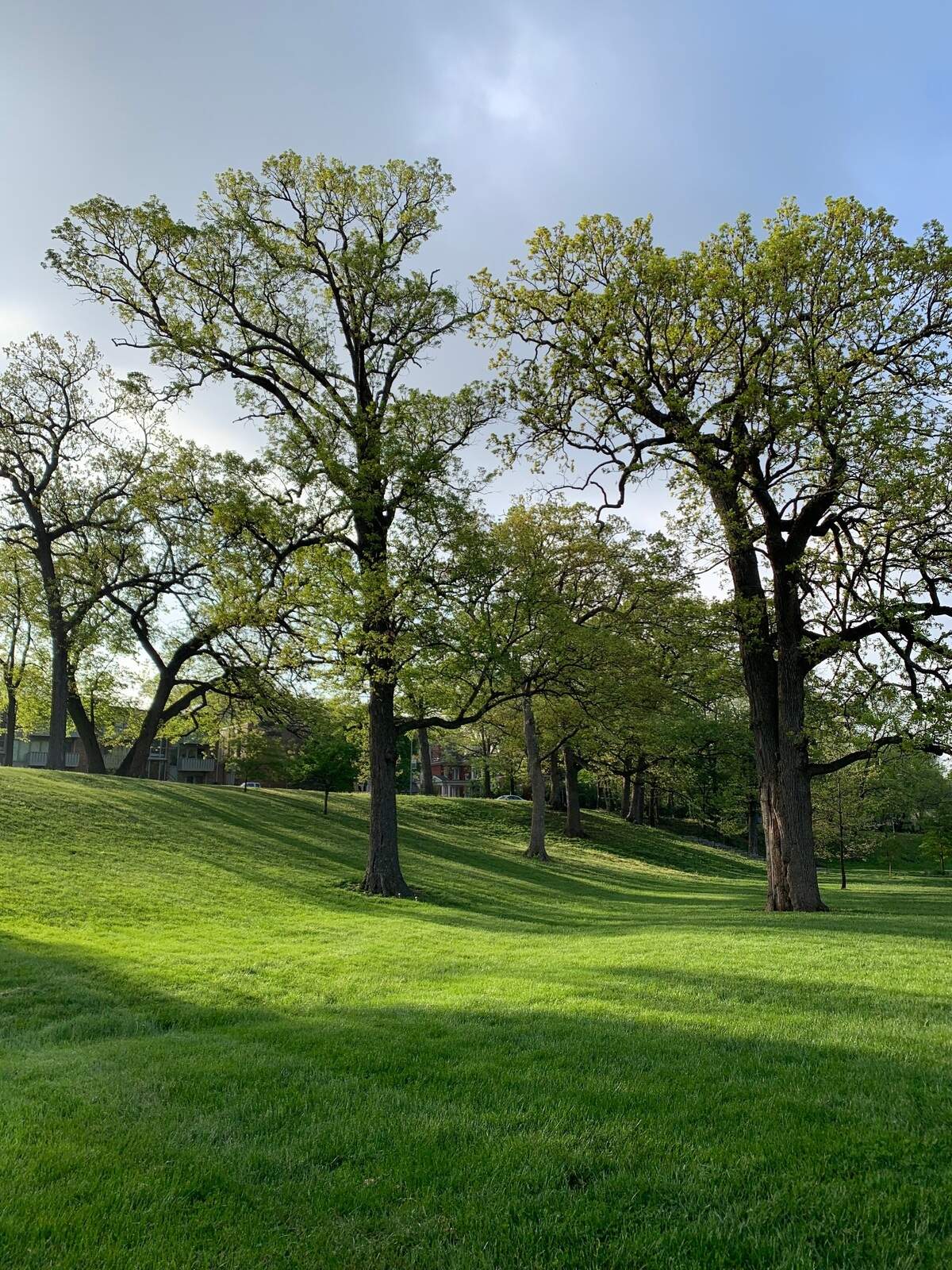 A sunny day in Hyde Park