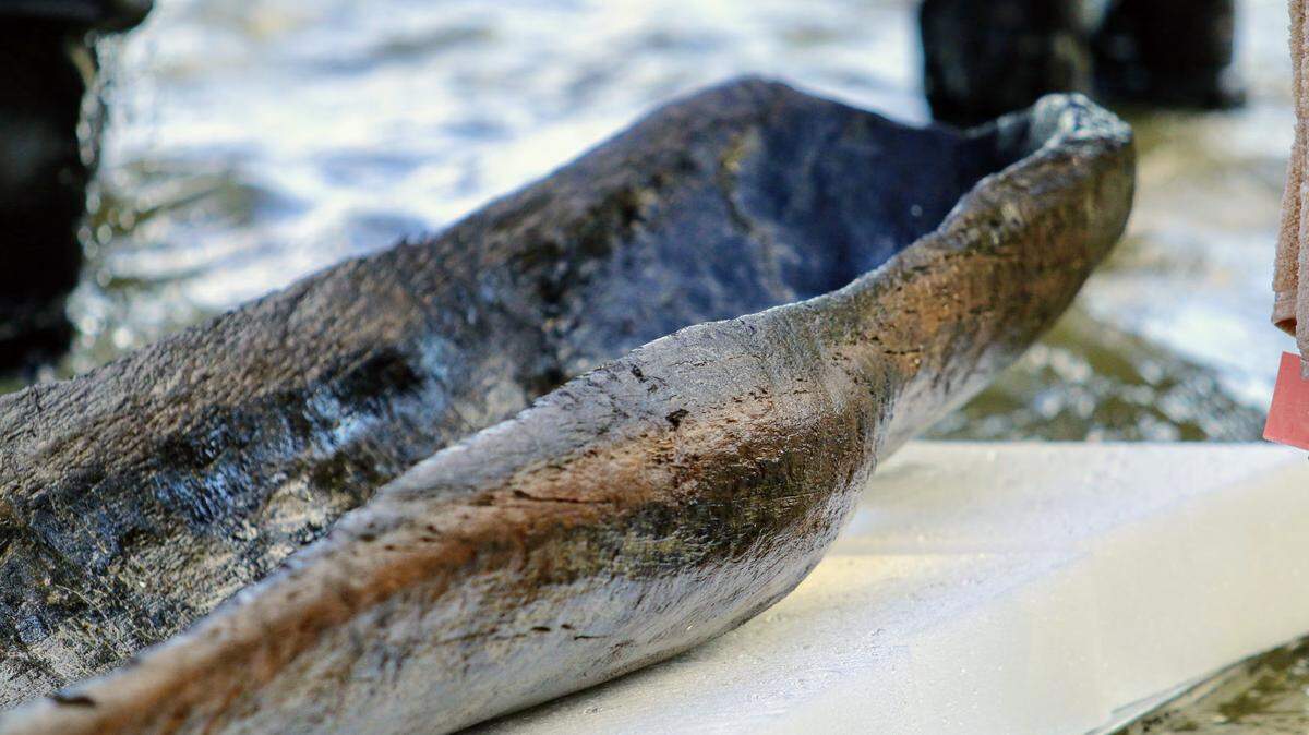 A 4,500-year-old canoe was discovered with at least eight others in a Wisconsin lake, archaeologists said. 